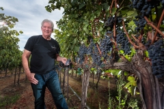 Doug Long in Obelisco Estate Vineyard