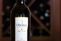 obelisco-electrum-red-mountain